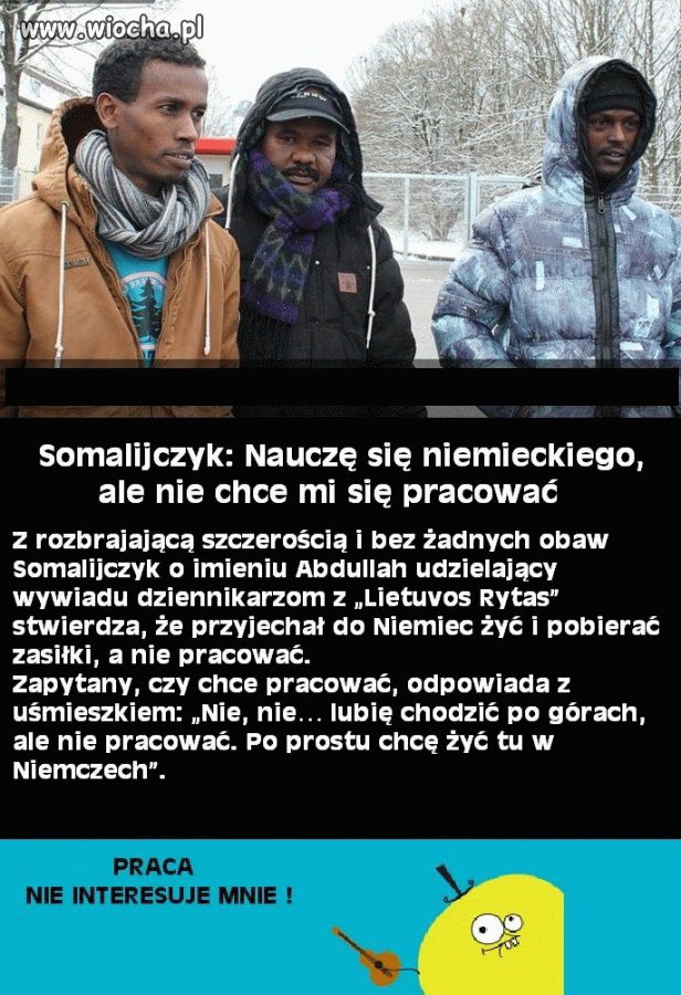 Tak to właśnie wygląda