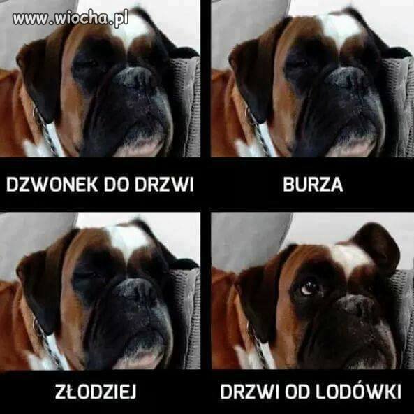 Przyjaciel
