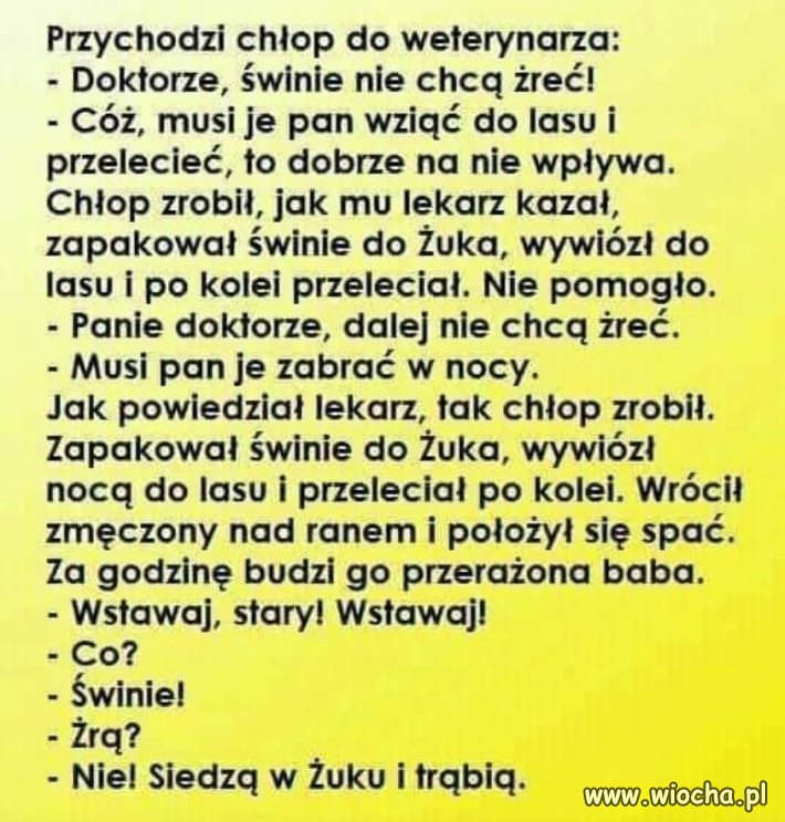 Magia nocy