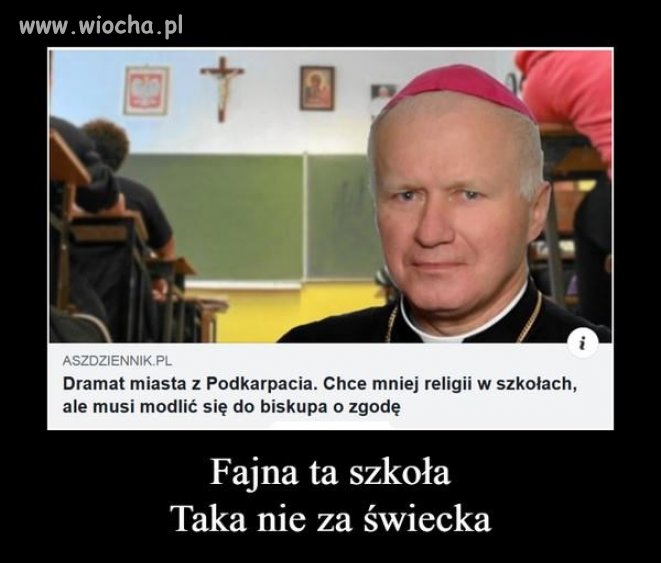 Polskie paradoksy ...