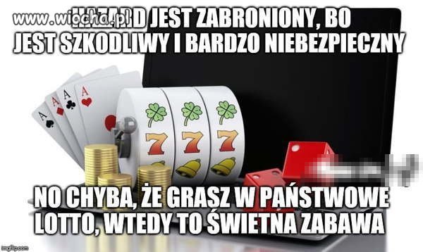 Co wolno wojewodzie
