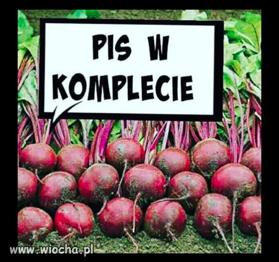 PiS w komplecie 