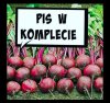 PiS w komplecie 