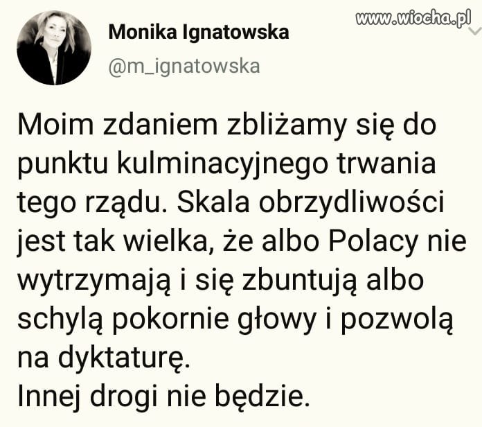 Albo jedno