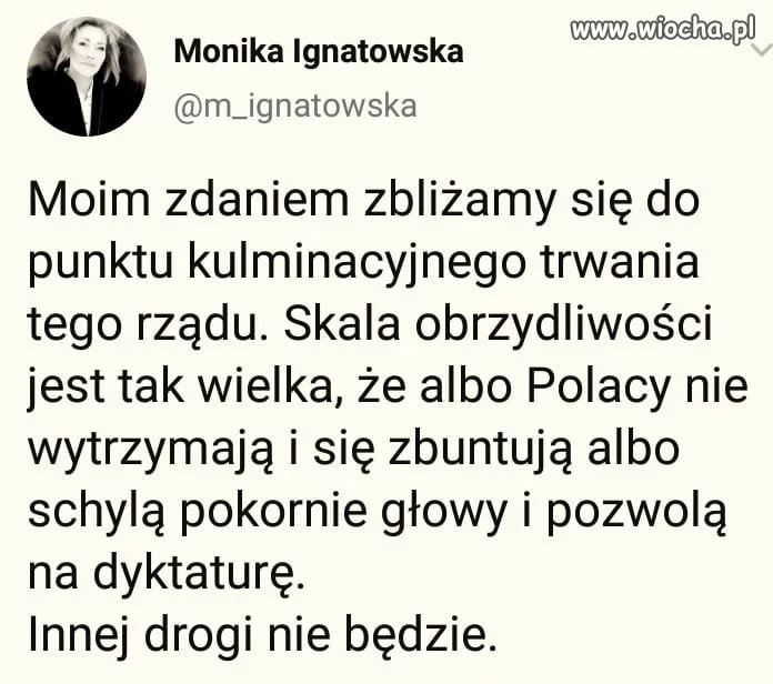 Albo jedno