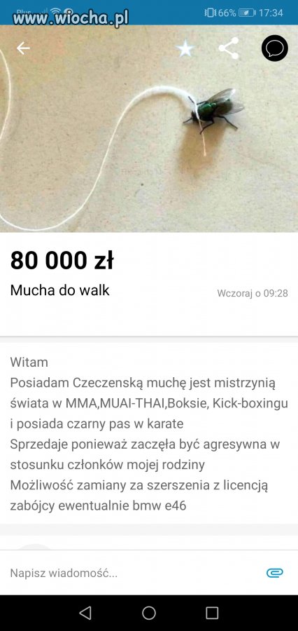 Olx mucha