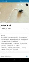 Olx mucha