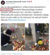 Poprawność dla  debili