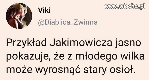 Krótko i w punkt ...