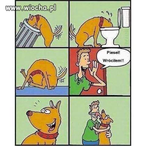 Tymczasem
