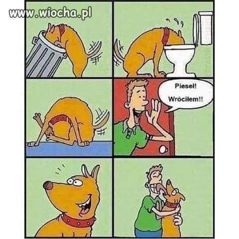 Tymczasem