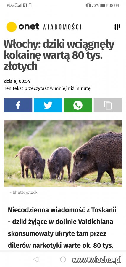 Taka sytuacja