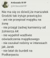 Zagrał pisowi na gulu.