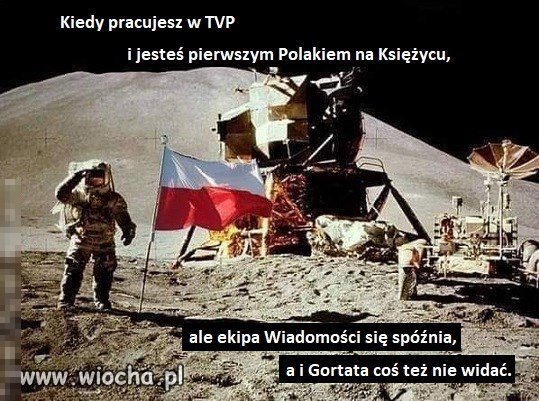 Praca w tvp