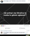 Doradca internetowy 