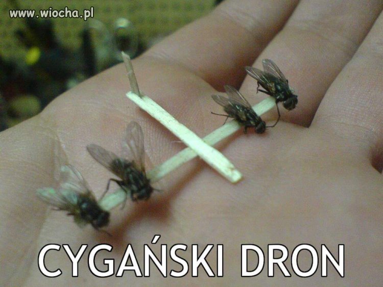 Cygański dron