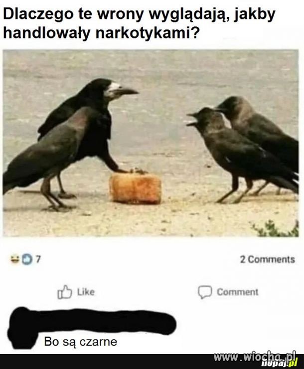 Czarna mafia 