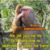 W miejskiej dżungli