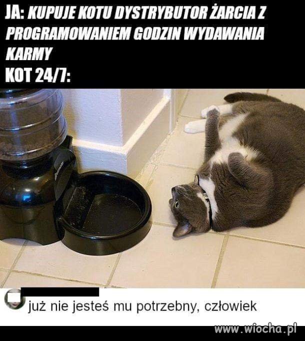 Tak jest
