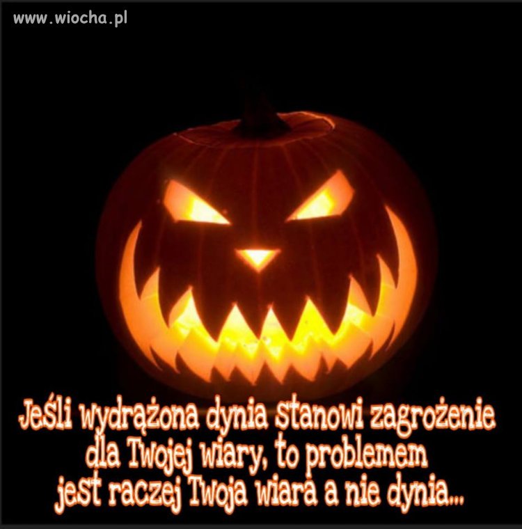 Dynia 