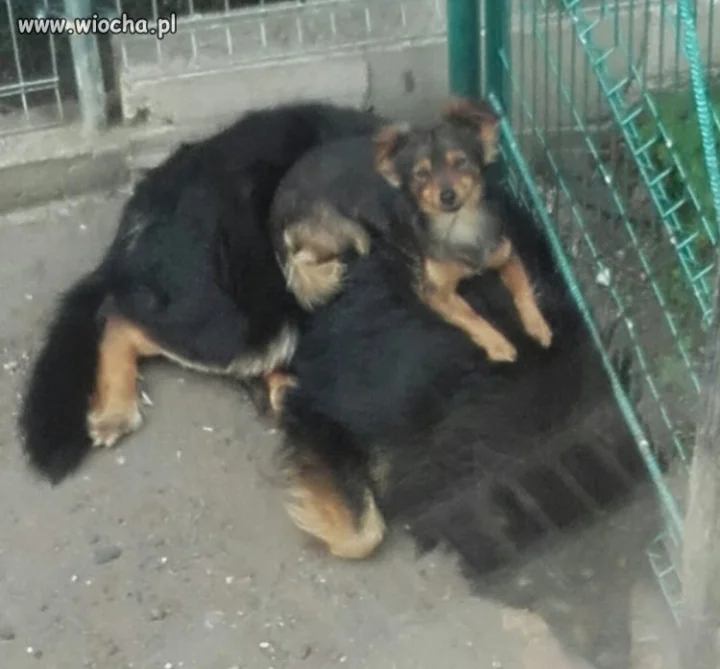Bo żyć wygodnie trzeba umieć...
