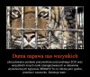 Szkoda tylko, że tyle musiały wycierpieć