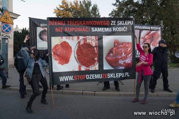 Zdrowa odpowiedź dla fanatycznych przygłupów 
