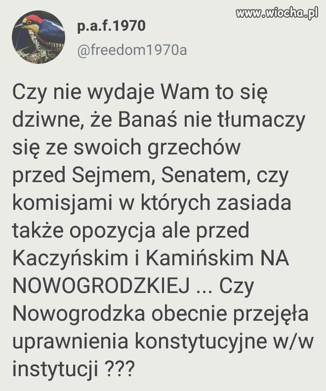 Dziwne