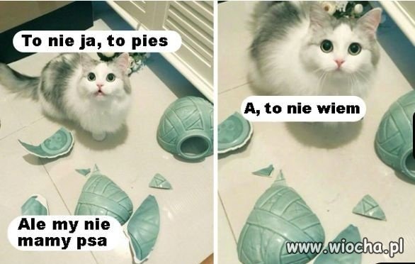 To jest dopiero