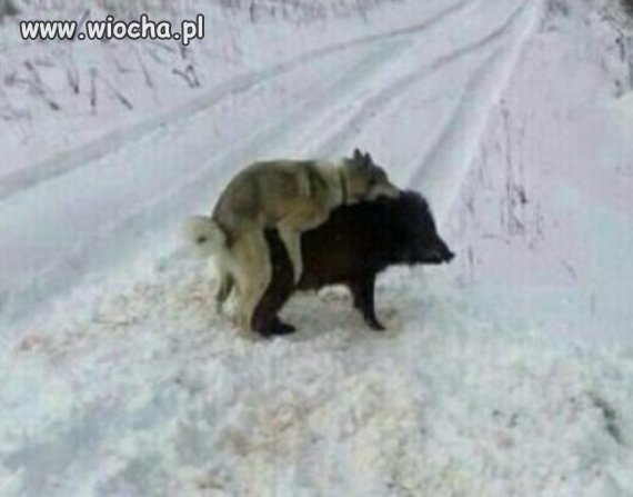 Jak najdzie ochota