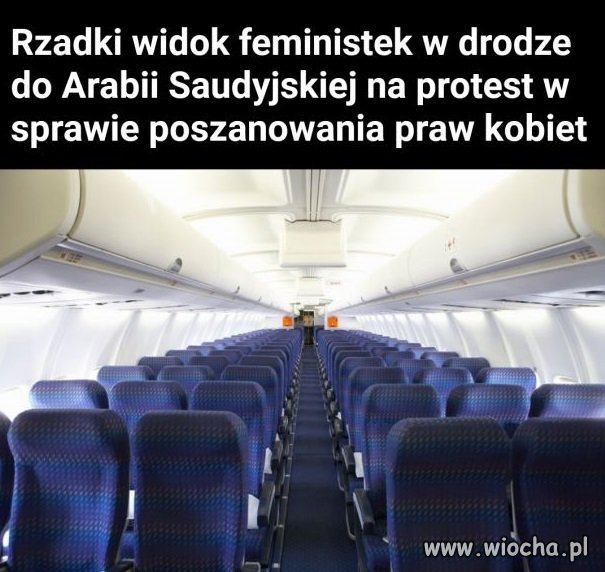 Feministki