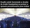 Feministki