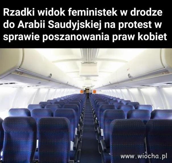 Feministki