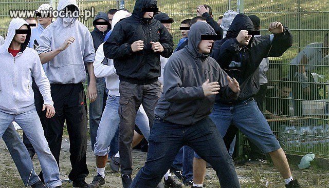 Wolontariusze według PiS 
