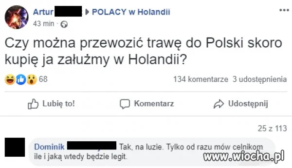 To jest dopiero