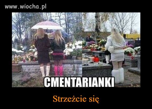 Czarne wdówki