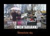 Czarne wdówki