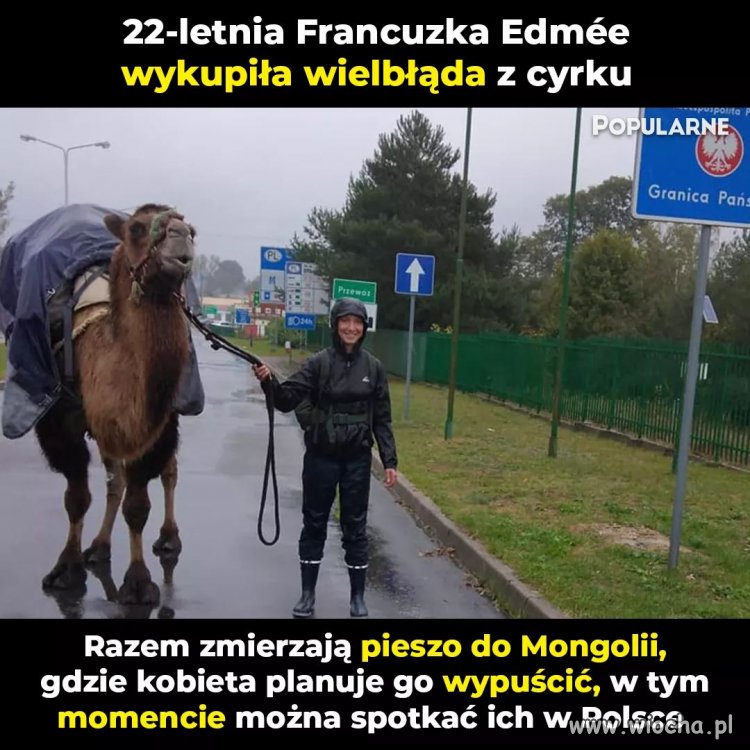 Piękny gest 