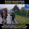 Piękny gest 
