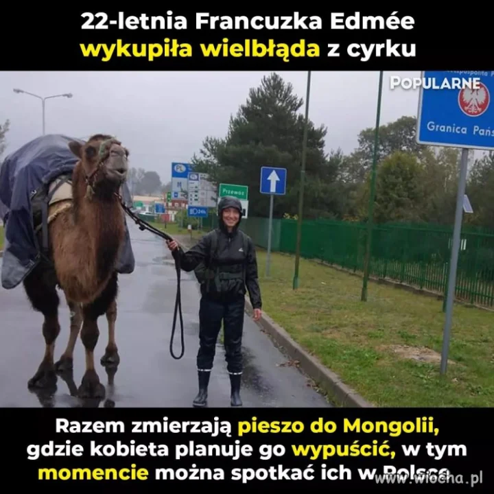 Piękny gest 