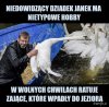 Nietypowe hobby dziadka Janka