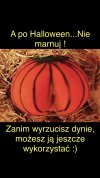 Nie marnuj ! 