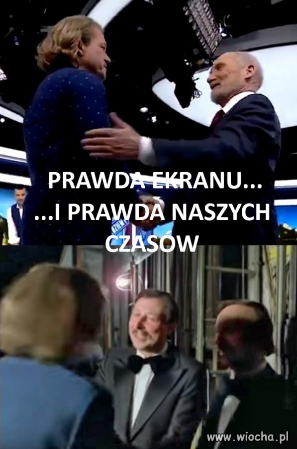 Bareja wiecznie żywy