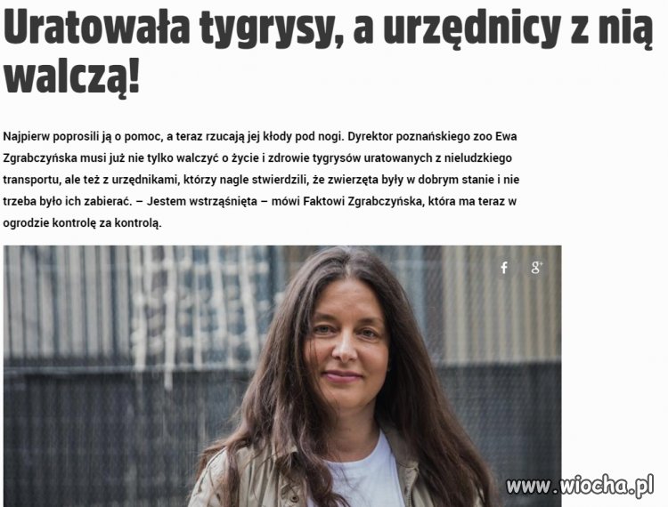 Po prostu padłem