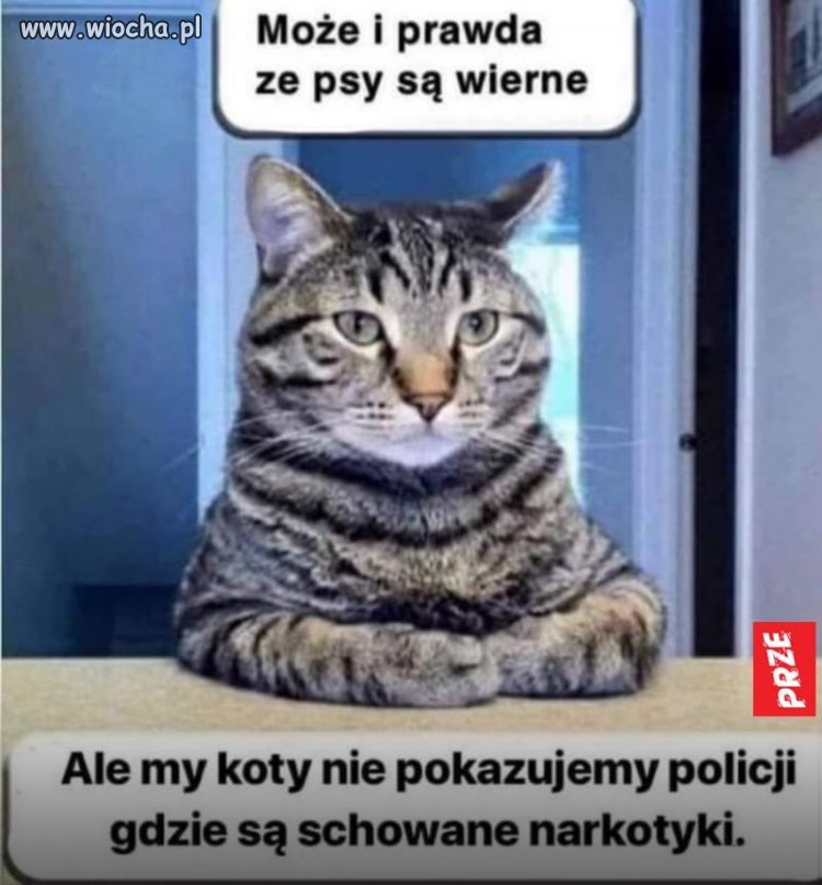 No to prawda...