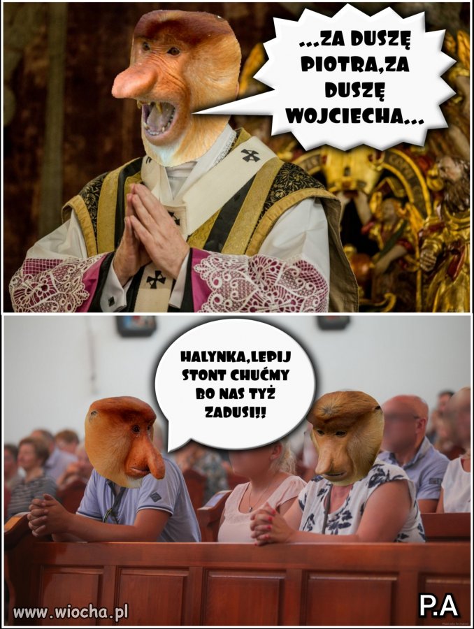 Zadusi