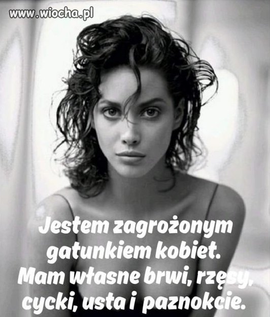 Ze świecą szukać