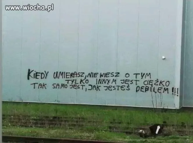 Z cyklu: złote myśli...