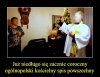 Agenci czarnej mafii już ruszyli w teren ...