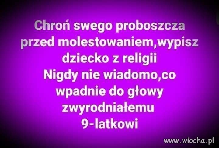 Wszyscy murem